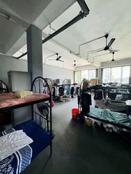 Ang Mo Kio Avenue 8 (D20), Factory #540183021